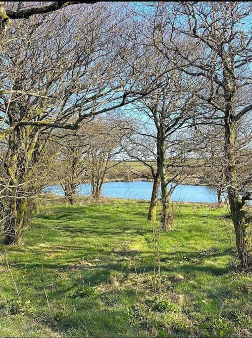 Venn Down Lakes Holiday home *
