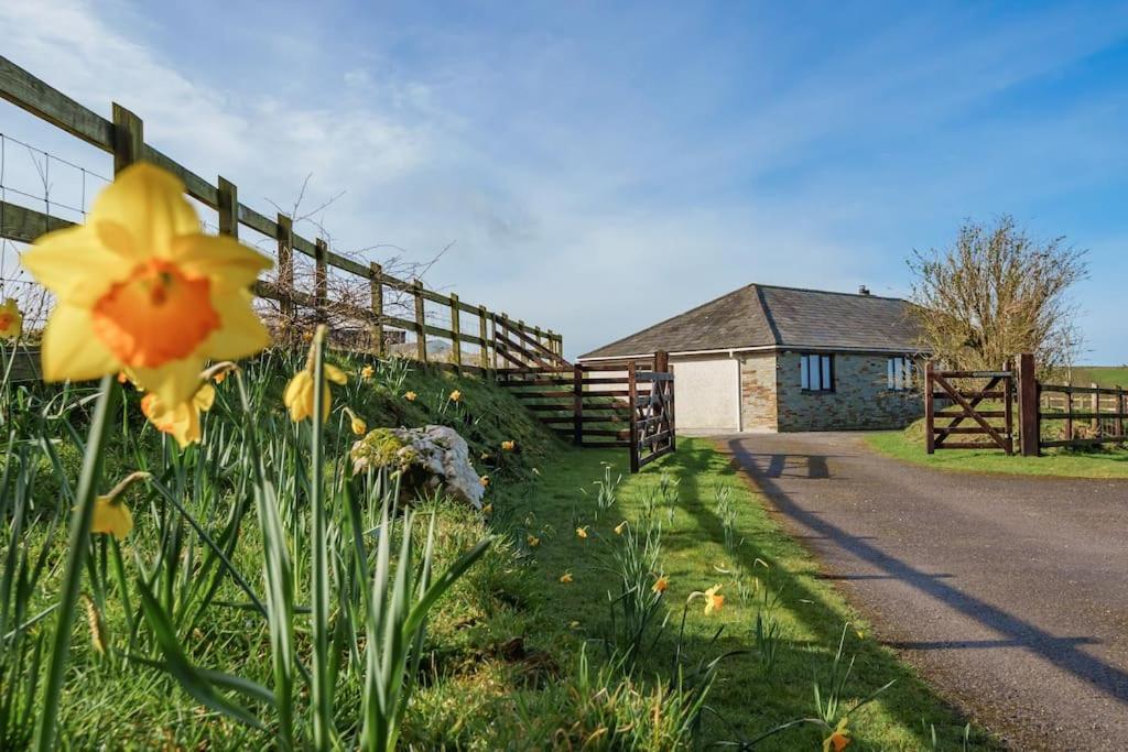 Venn Down Lakes Holiday home Boscastle