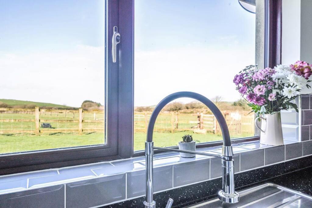 Venn Down Lakes Holiday home *
